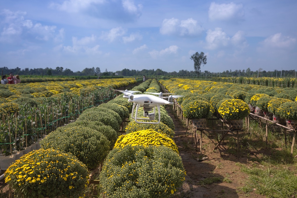 drone inspecting farm crops