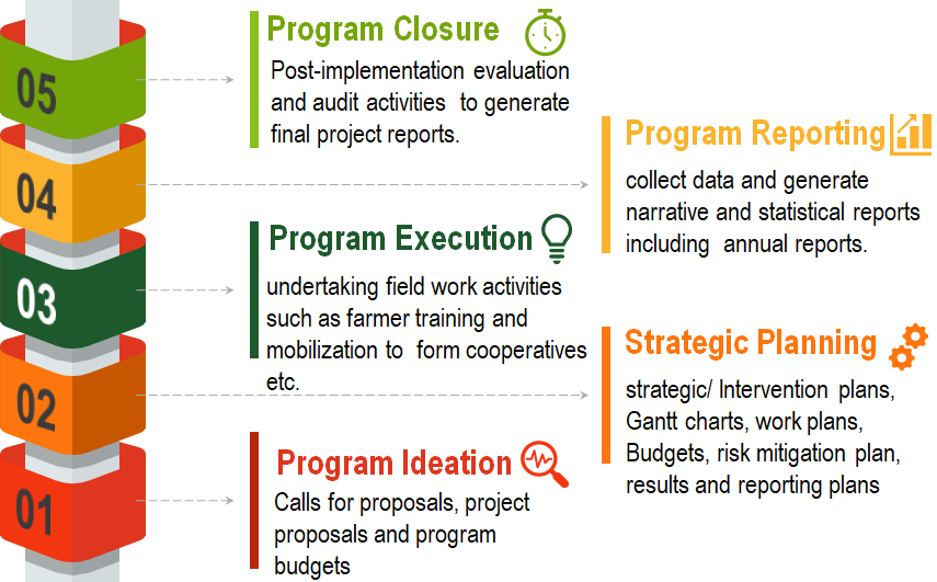 Program management cycle steps