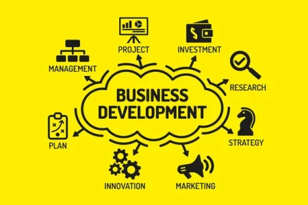 How to Grow Your MSME Using the Best BDS Providers